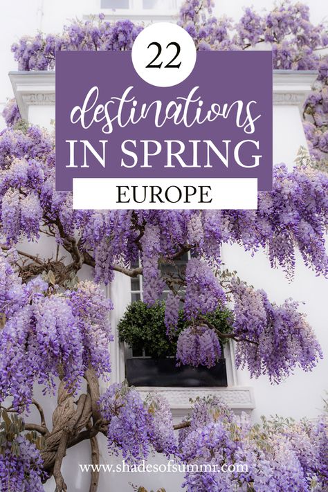 Picture of a house covered in wisteria flowers purple with a text 22 destinations in spring in Europe Europe In Spring, European Spring, Places To Visit In Europe, Sydney Travel, World Of Wanderlust, Beautiful Travel Destinations, Visit Europe, Bucket List Destinations, Europe Travel Destinations