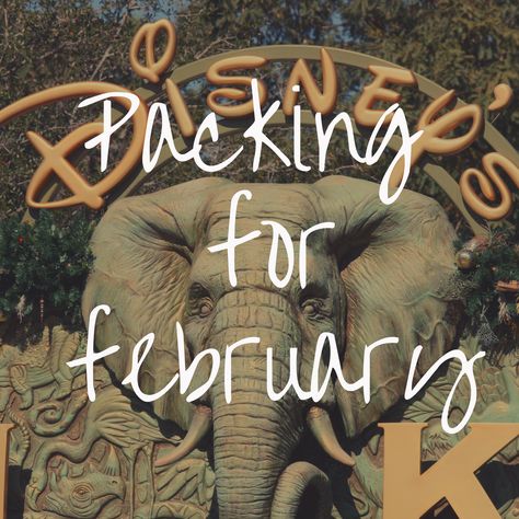 Disney Parks Outfits February, What To Pack For Florida In February, February Florida Outfits, Florida February Outfits, February Disney Outfits, Disney In February Outfits, Disney February Outfits, Florida In February Outfits, Universal Studios Orlando Outfit Winter