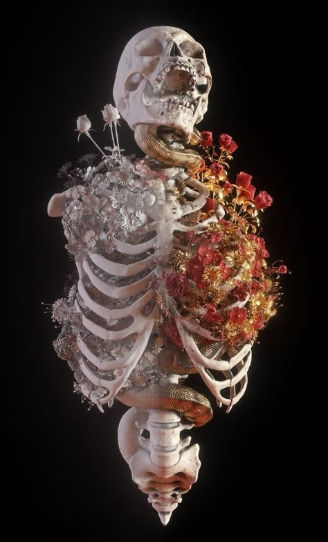 Human Skeleton, Skeleton Art, A Skeleton, 3d Artwork, Gcse Art, Anatomy Art, Memento Mori, Skull Art, Dark Art