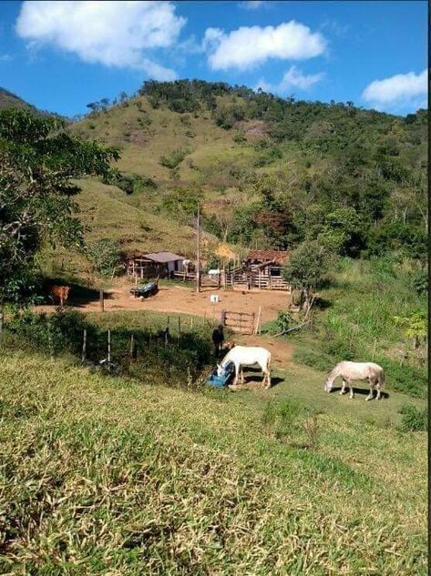 Rural Mexico, Cottages By The Sea, Village Photography, Rural Area, Naive Art, Planet Earth, Country Life, Farm Life, Puerto Rico