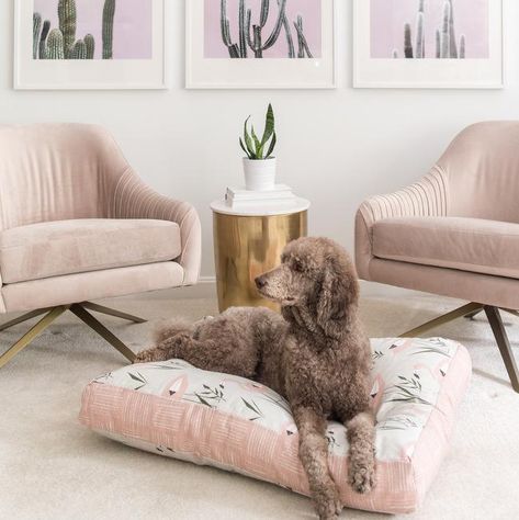 Flamingo Pink Dog Bed Blush Decor | Janery Modern Dog Bed, Tropical Style Decor, Pink Dog Beds, Dog Bed Modern, Blush Decor, Plush Dog Bed, Waterproof Dog Bed, Bed Duvet, Designer Dog Beds