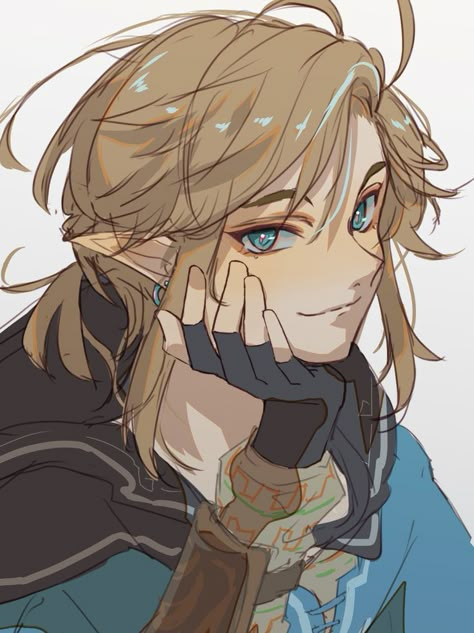 Link Fanart, Link Botw, Zelda Fanart, Link And Zelda, Link Art, Zelda Botw, Legends Of Zelda, Tears Of The Kingdom, Link Zelda