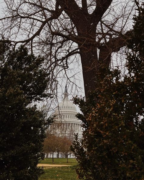 Us Capitol Aesthetic, Capitol Hill Aesthetic, Capitol Aesthetic, Dc Living, Dc Aesthetic, Apartment Hunting, Washington Heights, Fall 23, Post Grad