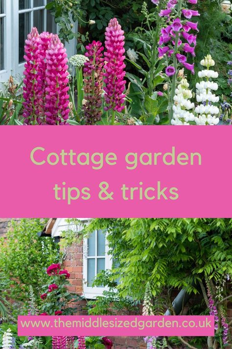 Small English Garden, Garden Tips And Tricks, Farmhouse Garden Decor, Cottage Garden Style, Cottage Garden Borders, Country Cottage Garden, Cottage Garden Design, Garden Design Layout, Cottage Garden Plants