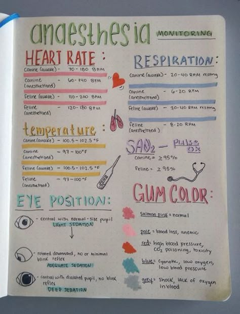 Veterinary anesthesia monitoring Heart Rate, Respiration, Temperature, Eye Position, Gum Color #veterinarynurse Anesthesia Monitoring, Veterinary Anesthesia, Vet Tech School, Veterinary Nursing, Vet Nursing, Veterinary Tech, Dental Assistant Study, Vet Technician, Vet Tech Student