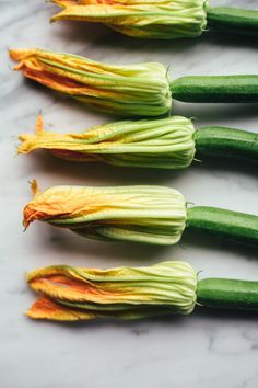 Courgette Flowers, Zucchini Flowers, Fragrance Ingredients, Food Photography Inspiration, Food Photographer, Cooking Class, Photographing Food, Photo Styling, Light Recipes