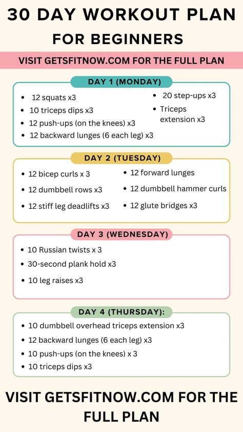 The Complete 30 Day Workout Routine for Beginners 30 Day At Home Workout Plan, Female Beginner Gym Workout Plan, Workout Routine For Home, Gym Exercise Routines Workout Plans, Home Workout Plans For Women, Beginner Workout Schedule At Home, Three Day Workout Plan, Beginner Workout At Gym Exercise Plans, Easy Exercises For Beginners At Home