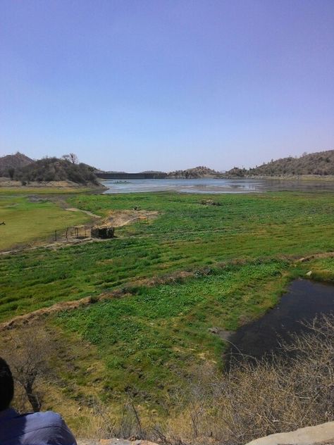 Ranakpur dam #pali Rajasthan Pali Rajasthan, Country Roads, Natural Landmarks, Road, Travel, Quick Saves, Nature