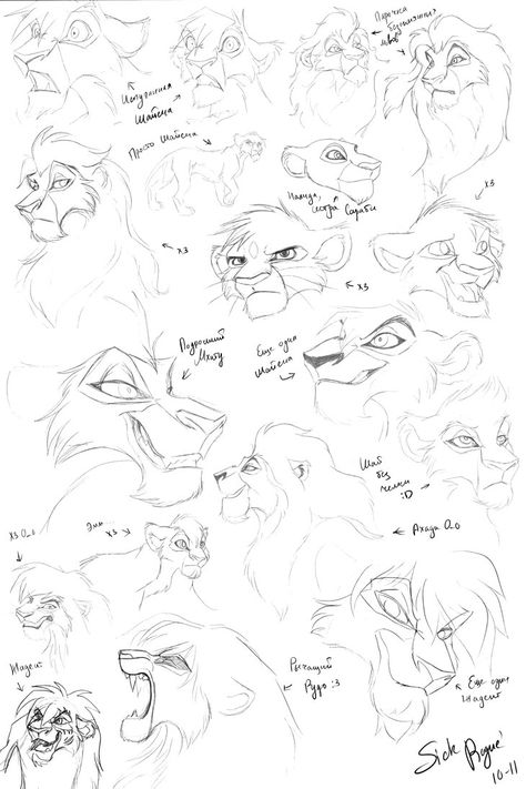 lion king sketches How To Draw Lion King Characters, How To Draw Lion King, Lion King Sketches, Lion King Drawing, Lion King Design, Old Sketches, Lion Sketch, Lion King Drawings, Cat Drawing Tutorial