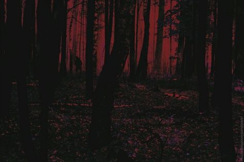 Grunge Woods Aesthetic, Dark Dream Aesthetic, Red Forest Aesthetic, Hell Aesthetic Dark, Liminal Forest, Woods Dark, Creepy Woods, Red Woods, Dark Forest Aesthetic