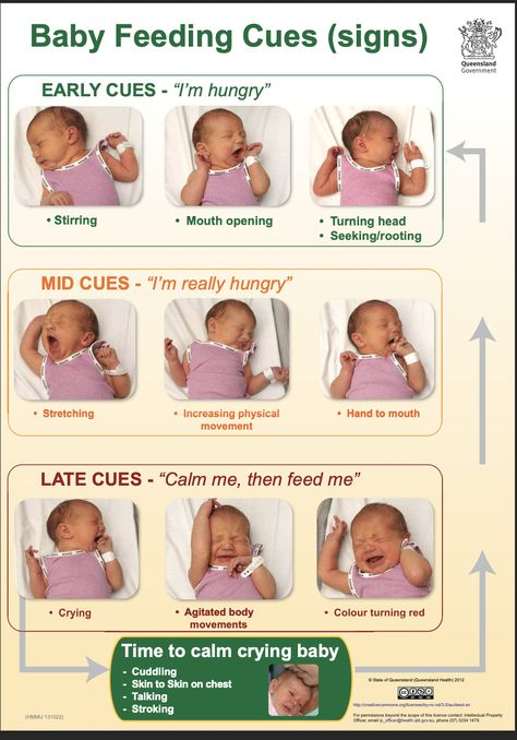 Is my baby hungry? Infant feeding cues and how to interpret them — Breastfeeding Center for Greater Washington Feeding Cues, Newborn Breastfeeding, Hunger Cues, Tips For New Moms, Infant Feeding, Parenting Win, Breastfeeding Positions, Attachment Parenting, Skin To Skin