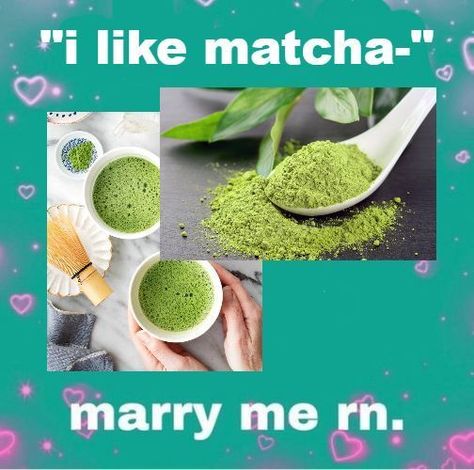 Matcha Tea, Fb Memes, Marry Me, Mood Pics, Matcha, The Original, Tea, Memes