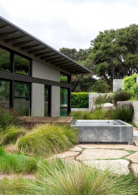 Ground Studio Landscape Architecture - Butterfly House - Photo via Ground Studio Midcentury Landscaping, Mid Century Backyard, Mid Century Modern Landscaping, Mid Century Modern Garden, Mid Century Landscaping, Mid Century Landscape, Mid Century Outdoor, Mid Century Home, Century Home