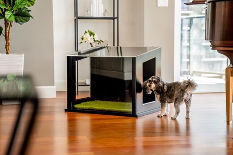 Indoor Pet Potty Area, Indoor Dog Potty Diy Ideas, Indoor Dog Potty Area, Indoor Potty Area For Dogs, Indoor Dog Bathroom, Covered Area For Dogs To Potty, Indoor Dog Potty Diy, Dog Toilet Indoor, Apartment Dog Potty