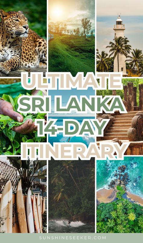 Sri Lanka 2 Week Itinerary, Sri Lanka 7 Days, Sri Lanka Vacation, Asia Travel Outfit, Sri Lanka Itinerary, Sri Lanka Beach, How I Wish, Nuwara Eliya, Sri Lanka Travel