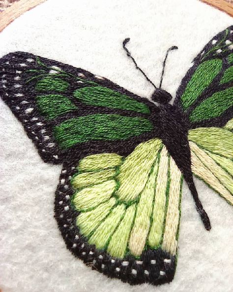 Hand Embroidered Butterflies, Embroider Butterfly, Embroidery Friends, Painted Embroidery, Butterflies Embroidery, Embroidery Decor, Emoji Coloring Pages, Embroidery Butterfly, Butterfly Stitches