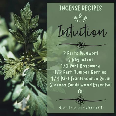 Willow Witchcraft (@willow.witchcraft) • Instagram photos and videos Witchcraft Incense, Incense Recipes, Witch Info, Magical Herbs Witchcraft, Herbs Witchcraft, Hearth Witch, Incense Blends, Herbs List, Frankincense Resin