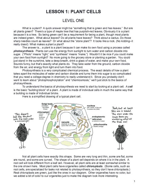 Botany in 8 Lessons – REVIEW - The Curriculum Choice Botany Lessons, Farm Lessons, Homeschool Science Curriculum, Stone Plant, Science Topics, Plant Cell, Homeschool High School, High School Science, Plant Information