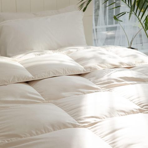 Amazon.com: REWARDOWN Kapok Down Comforter Queen Size, Recycled White Down and Kapok Blended Filling Winter Duvet Insert for Difficulty Falling Asleep & Sleeping Lightly & Afraid of Cold Sleepers (90x90'', Ivory) : Home & Kitchen Down Comforters, Twin Comforter, Falling Asleep, Down Comforter, Queen Comforter, Linen Duvet Covers, Duvet Bedding, King Comforter, Restful Sleep