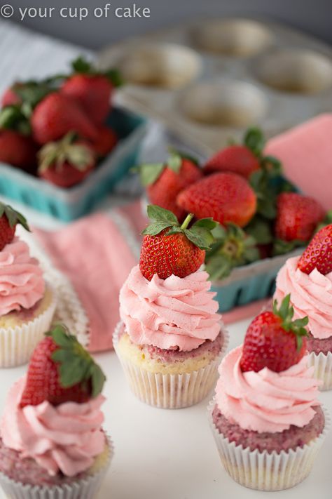 Strawberries and Cream Cupcakes - Your Cup of Cake Strawberry Lemonade Cupcakes, Strawberry Cupcake Recipes, Vegan Vanilla Cupcakes, Frost Cupcakes, Strawberry Shortcake Cupcake, Strawberry Buttercream Frosting, Lemonade Cupcakes, Lexa Y Clarke, Strawberry Frosting