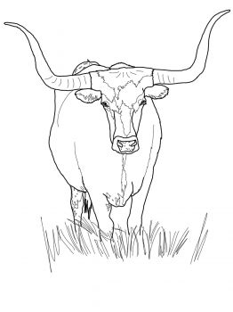 Texas Longhorn Cattle                                                                                                                                                                                 More Longhorn Steer Art, Texas Longhorn Drawing, Artist Cookies, Drawing Pets, Longhorn Art, Rodeo Art, Rock Pattern, Hereford Cows, Cow Coloring Pages