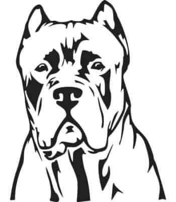 Small Star Tattoos, Pitbull Tattoo, Silhouette Cameo Vinyl, Cane Corso Dog, Corso Dog, Art Sketches Doodles, Dog Coloring Page, Cuss Words, Tree Artwork