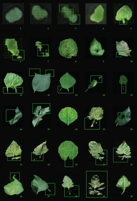 Kiko Kostadinov Asics, Speculative Design, Ecology Design, Cool Illusions, Kiko Kostadinov, Plant Images, Green Aesthetic, Graphic Poster, Graphic Design Inspiration