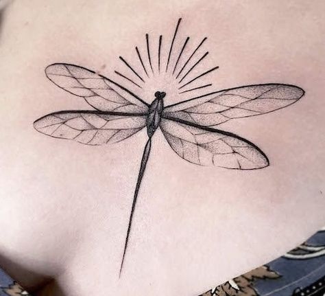 Dragonfly Tattoo Meaning, Dragonfly Tattoos, Beauty Transformation, Small House Garden, Companion Planting Vegetables, Dragonfly Tattoo Design, Herb Containers, Herb Garden Design, Vertical Garden Diy