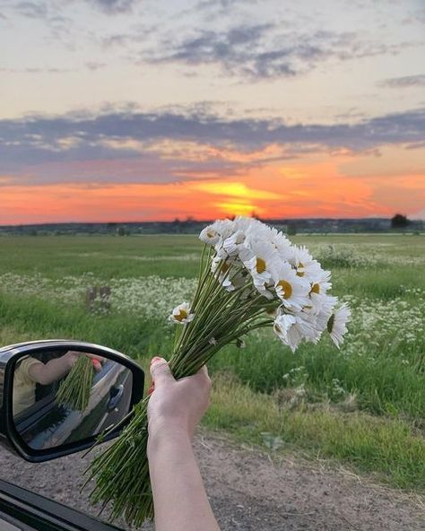 Chasing sunsets all spring long PC: @miss_angel_ann #loveellie Sunset Vibes Aesthetic, White Flowers Aesthetic, Pictures Night, Flowers Sunset, Travel Pose, Sunset Vibes, Flower Photoshoot, Night Sky Wallpaper, Sky Wallpaper