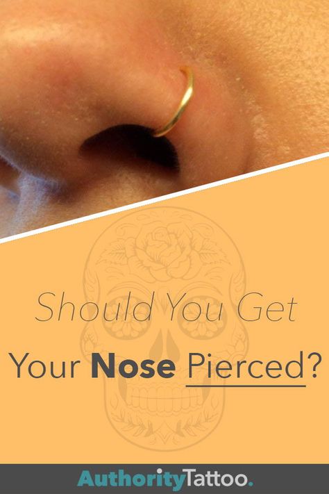 Nose Piercing Placement, Nose Piercing Scar, Nose Structure, 2nd Ear Piercing, Hooked Nose, Different Nose Shapes, Nose Piercing Ring, Cute Nose Piercings, Double Ear Piercings