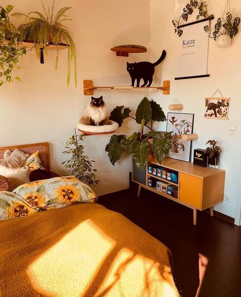 Katt Diy, Cat Room Decor, Katt Grejer, Cat Bedroom, Bohemian Living, Cat Room, Cat Decor, Apartment Inspiration, Dream House Decor