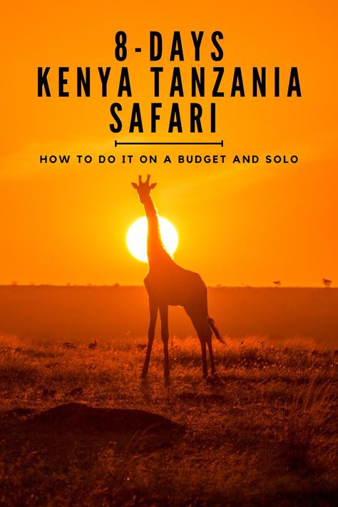 If you're considering a budget-friendly solo Kenya Tanzania Safari, this article provides a comprehensive guide to help you plan an ideal trip. The Great Migration, Rift Valley, Tanzania Safari, Serengeti National Park, Masai Mara, Perfect Itinerary, Best Budget, Africa Travel, Walking Tour