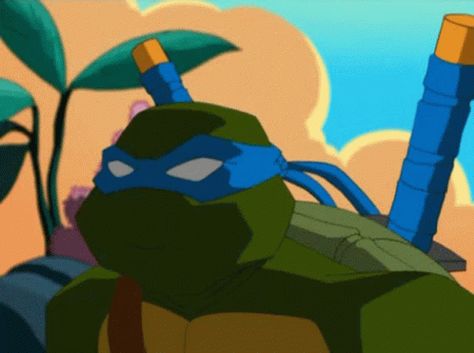 Tmnt Gif, Tmnt Multiverse, Tmnt 2003, Turtles Forever, Tmnt Leo, Mutant Ninja, Cute Gif, Teenage Mutant, Teenage Mutant Ninja Turtles