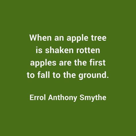 When an apple tree is shaken rotten apples are the first to fall to the ground. -Errol Anthony Smythe Rotten Apple Quote, Apple Quotes, Tree Quotes, Bad Apple, Apple Tree, Quotable Quotes, Apples, The One, The First