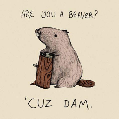 Funny pick-up line t-shirt. Are you a beaver? 'Cuz Dam. Get the Tee: http://www.feistees.com/are-you-a-beaver-t-shirt/ Funny Pick, Punny Puns, Pick Up Lines Cheesy, Pick Up Lines Funny, Pickup Lines, Love Puns, Corny Jokes, Cute Puns, Puns Jokes