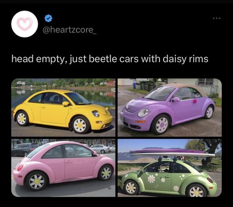 Daisy Rims, Pink Beetle, Volkswagen Beetle Convertible, Bug Car, Volkswagen New Beetle, Car Deco, Beetle Car, Beetle Convertible, Girly Car