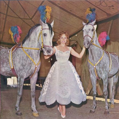 Circus Horse, Things To Create, Circus Aesthetic, Circus Costumes, Halloween Circus, Horse Costumes, Circus Costume, Circus Animals, Circus Art