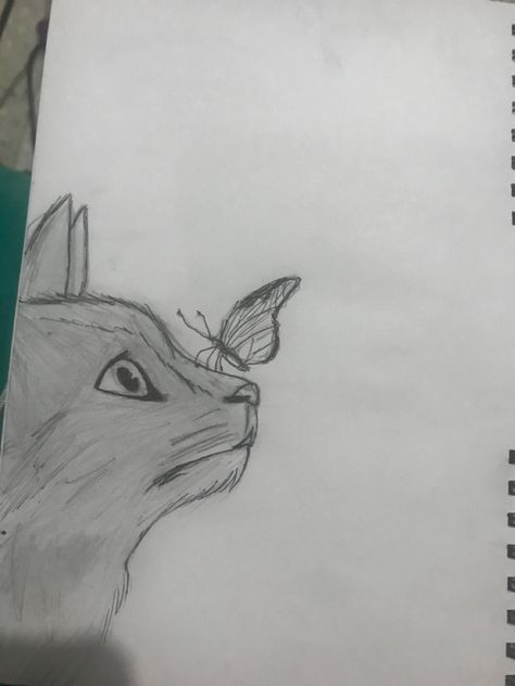 Sketch Ideas Animals Easy, Cat Drawing Side View, Drawing Ideas For Painting, 3 Cats Drawing, Drawing Ideas Easy Cat, Pets Drawing Easy, Cute Drawings Animals, Cat Sketch Easy, Funny Animal Drawings