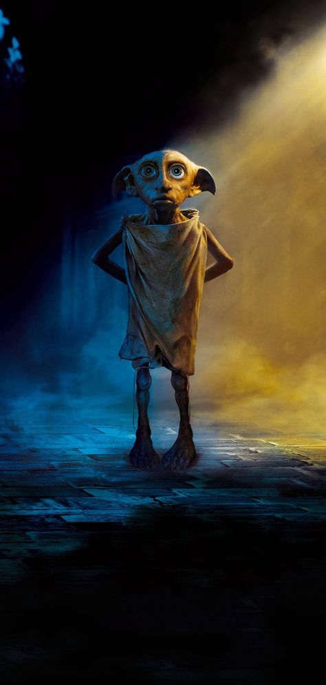 Dobby Harry Potter And Chamber Of Secrets Harry Potter e a Câmara Secreta Harry Potter Wallpaper, Skeleton, Harry Potter, Wallpapers, Iphone