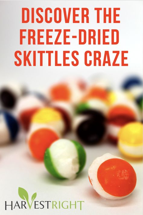 Things You Can Freeze Dry, Dehydrated Skittles In Air Fryer, Things To Do With Skittles, Dehydrated Skittles, How To Freeze Dry Skittles, Freeze Drying At Home, How To Make Freeze Dried Skittles, How To Make Freeze Dried Candy, Freeze Dried Candy Diy