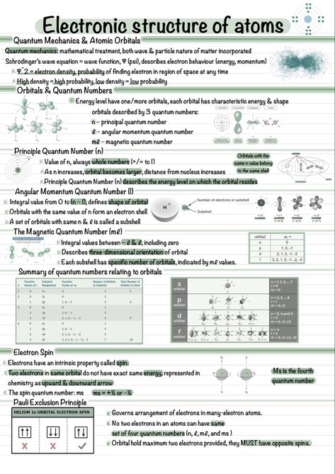 Quantum Numbers Notes, Electronic Structure Of Atoms, Electronic Configuration Notes, Atomic Orbitals Chemistry, Quantum Physics Notes, Quantum Numbers Chemistry Notes, Electron Configuration Notes, Chemistry Atomic Structure Notes, Structure Of Atom Notes Class 11