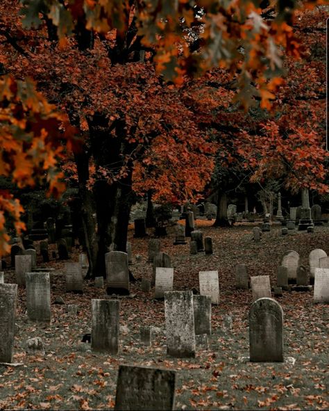 Gothic Autumn Aesthetic, End Of Beginning Aesthetic, Moody Autumn Aesthetic, The Dead Romantics Aesthetic, Halloween Core Aesthetic, Stephanie Aesthetic, October Aesthetic Spooky, Autumn Graveyard, October Core