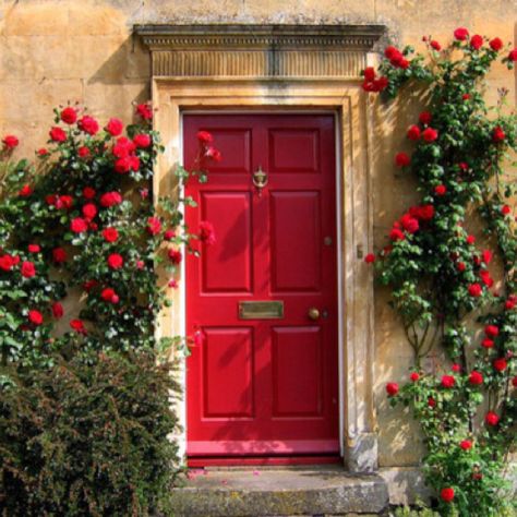 Red door, red climbing rose (For booklet?) Red Front Door, Gorgeous Doors, Open Door, Open The Door, Red Door, Door Color, Beautiful Doors, The Doors, The Door