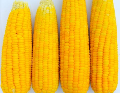 Smart Tip: The Fastest, Easiest Way to Shuck Corn Is With Your Microwave — America's Test Kitchen Summer Rhythm, Shuck Corn, Shucking Corn, Slow Summer, Salmon Potato, Baked Corn, Lasagna Pasta, Lunch Appetizers, Grilling Tips