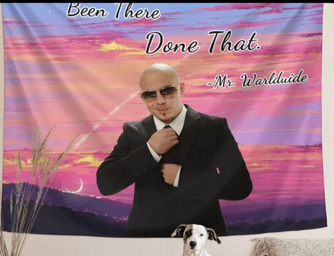 Mr 305, Mr Worldwide, Dorm Party, Product Background, College Bedroom, Intellectual Property, Tapestry Wall, Funny Meme, College Dorm