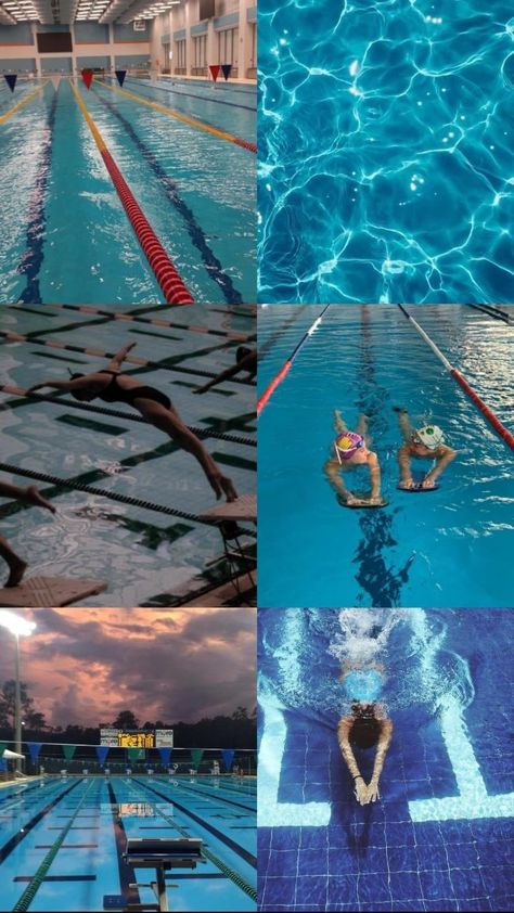 Swim Astethic, Swimming Collage, Swim Team Aesthetic, Swim Team Pictures, Competitive Swimming Pictures, Swim Aesthetic, Swimming Aesthetic, Swimming Jokes, Swimming Photography