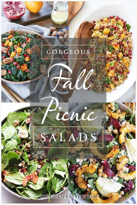 From Harvest Salad recipes to fall quinoa salads and healthy vegan slaws, we've rounded up some of the best autumn salads for your next alfresco spread. These fall salads celebrate the spoils of the harvest and make a healthy and substantial addition to any fall picnic.#fallsalads #fallpicnic #picnicsalads #fallpicnicideas Fall Luncheon Ideas Food, Fall Bbq Recipes, What To Bring To A Fall Potluck, Fall Picnic Side Dishes, Tailgate Salad Recipes, Fall Pasta Salads For Parties, Fall Picnic Recipes, Fall Salads For Parties, Harvest Salad Recipes Fall