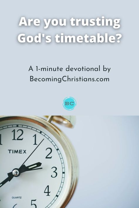 Are you trusting God's timetable? Daily Bible Reading, Bible Study Tools, Bible Reading, Great Leaders, Daily Bible, Spiritual Inspiration, Read Bible, Trust God, Bible Study