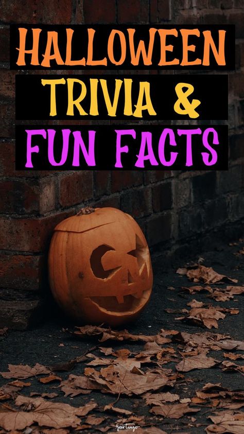 Halloween Trivia Questions And Answers, Halloween Trivia Questions, Halloween Questions, Halloween Trivia, Halloween Facts, All Souls Day, Halloween Traditions, Trivia Questions And Answers, Halloween Activities For Kids