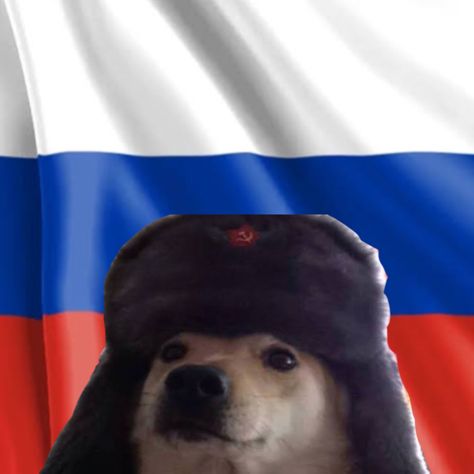 Isr Russian Flag Aesthetic, Russian Dogs, Avengers Aesthetic, Oc Stuff, Russian Flag, Marvel Characters, Random Things, Profile Picture, Avengers